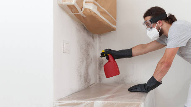 Professional Crawl Space Mold Removal technician working in Saint James City, FL
