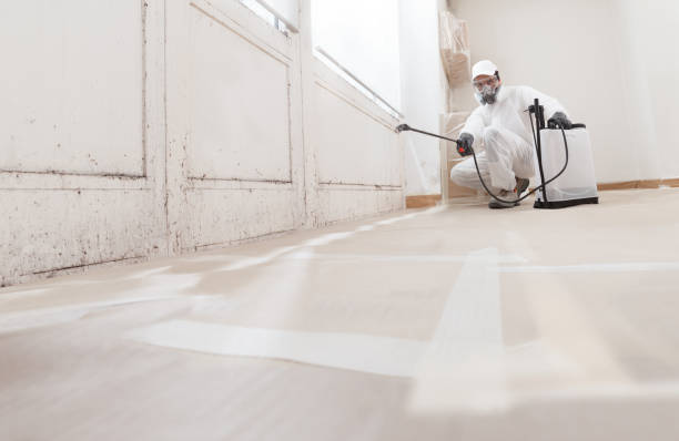 24/7 Emergency Crawl Space Mold Removal experts in Saint James City, FL