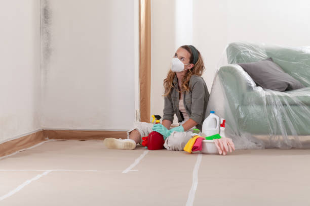 Reliable Crawl Space Mold Removal contractor in Saint James City, FL by WQB Mold Removal