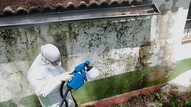 Top rated local Crawl Space Mold Removal specialists in Saint James City, FL